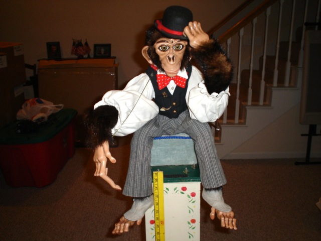  Organ Grinder Monkey 